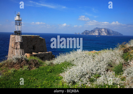 Leuchtturm, Punta Campanella, Kampanien, Italien Stockfoto