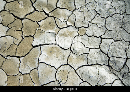 Abstrakte Muster der trockene rissige Ton Schlamm in ausgetrocknet Seegrund verursacht durch lang anhaltende Trockenheit im Sommer bei heißem Wetter Temperaturen Stockfoto