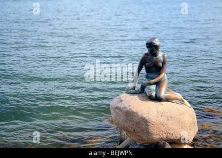 Die Statue der kleinen Meerjungfrau des Bildhauers Edvard Eriksen am Langelinie Kai, Kopenhagen, Dänemark Stockfoto