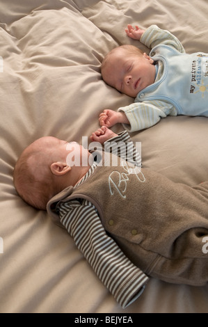 Vorzeitige Babys schlafen, identischen Zwillingen Stockfoto