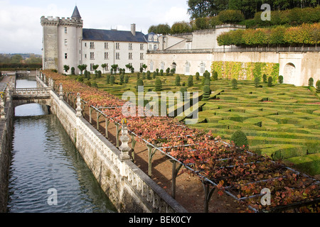 Gärten des Schlosses Villandry entlang der Loire, Frankreich Stockfoto