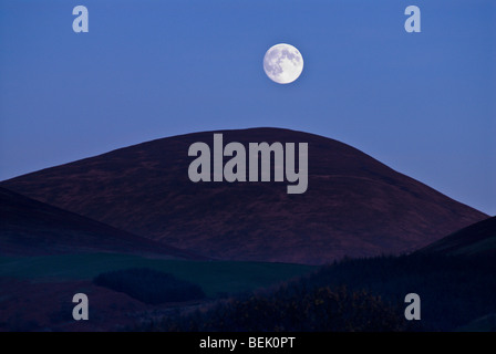 Der Mondaufgang über Latrigg fiel, Borrowdale, Englisch Seenplatte, Cumbria, England, UK Stockfoto