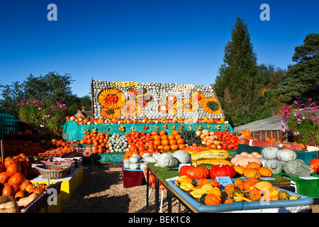 Einen bunten Bauerngarten Anzeige der Kürbisse in Slindon, West Sussex, England, Grossbritannien 2009 Stockfoto