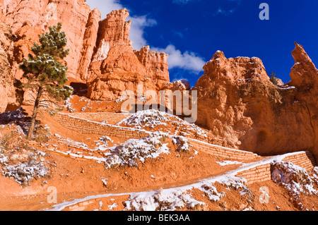 Serpentinen und Felsformationen entlang der Queens Garden Trail, Bryce-Canyon-Nationalpark, Utah Stockfoto