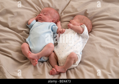 Frühgeborene, eineiigen Zwillingen, 11 Wochen alt Stockfoto