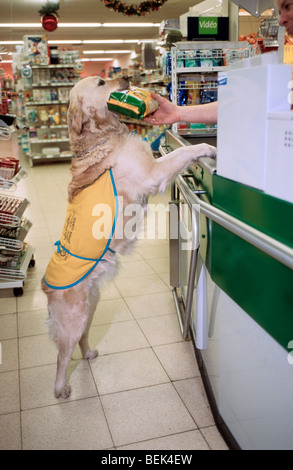 Ungültigen und Körperbehinderte Person im Rollstuhl mit Labrador Mobilität Begleithund im Supermarkt einkaufen Stockfoto