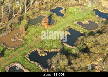 Marschland mit Pools und Wald, Demerbroeken Naturschutzgebiet, Belgien Stockfoto