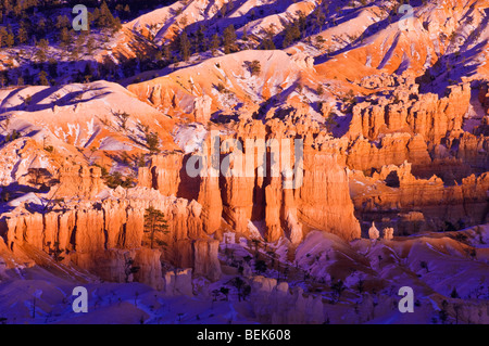 Abendlicht am Schnee bestäubt Felsformationen unter Bryce Point, Bryce-Canyon-Nationalpark, Utah Stockfoto