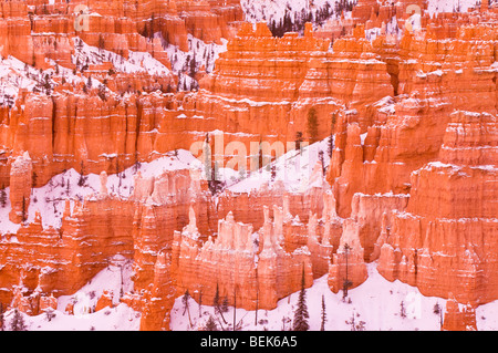 Abendlicht am Schnee bestäubt Felsformationen unter Sunset Point, Bryce-Canyon-Nationalpark, Utah Stockfoto