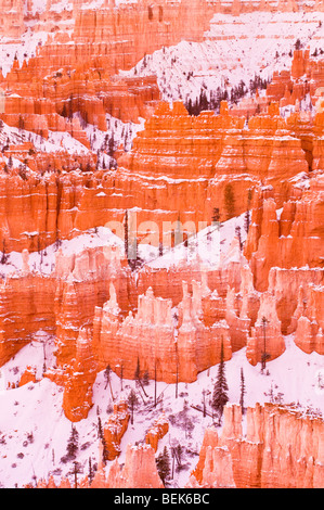 Abendlicht am Schnee bestäubt Felsformationen unter Sunset Point, Bryce-Canyon-Nationalpark, Utah Stockfoto