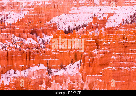 Abendlicht am Schnee bestäubt Felsformationen unter Sunset Point, Bryce-Canyon-Nationalpark, Utah Stockfoto