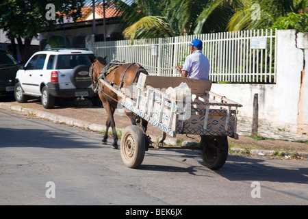 Ein Pferd gezeichneten Wagen in den Vororten von Cuiaba. Cuiaba, Mato Grosso, Brasilien Stockfoto