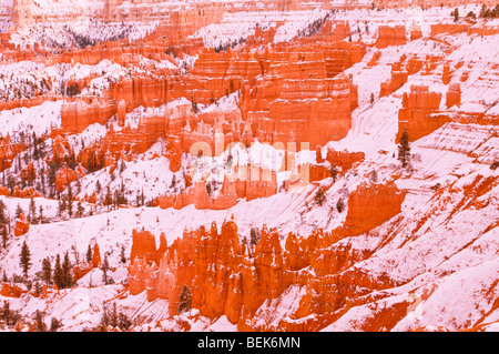 Abendlicht am Schnee bestäubt Felsformationen unter Sunset Point, Bryce-Canyon-Nationalpark, Utah Stockfoto