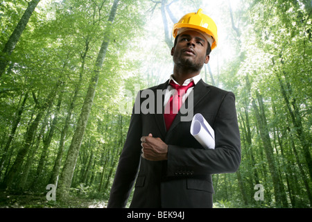 Archictect mit Plänen und Helm in einem ökologischen Wald-Projekt Stockfoto