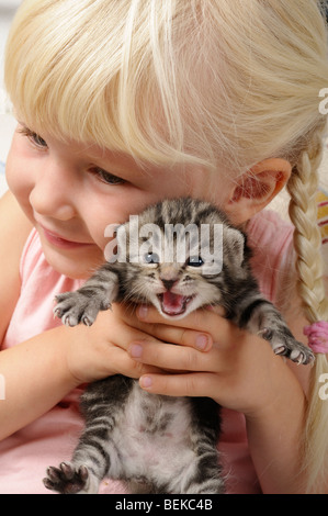 Stock Foto von einem kleinen 4-jährigen Mädchen mit ihrem Kätzchen zu spielen. Stockfoto