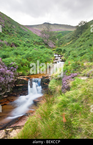 Fairbrook ablaufen von Kinder Scout durch das Woodlands-Tal und die A57 Schlange Straße im Peak District National Park. Stockfoto