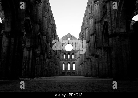 Italien. Toskana. Abtei San Galgano Stockfoto