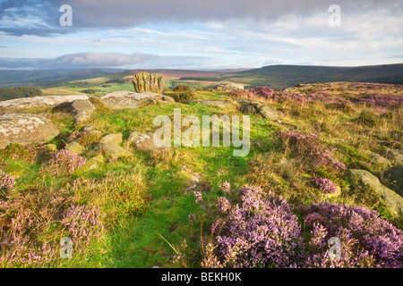 Der Knuckle Stein auf Carhead Felsen auf den North Lees Estate, Derbyshire, Peak District Stockfoto