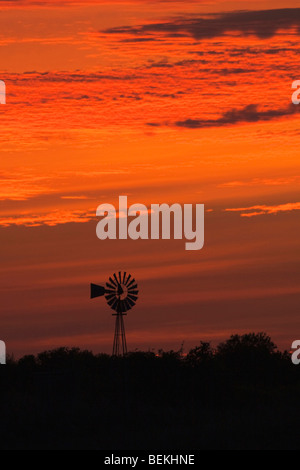 Windmühle bei Sonnenuntergang, Sinton, Fronleichnam, Coastal Bend, Texas, USA Stockfoto