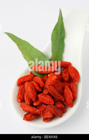 Goji Beeren Lycium Barbarum getrocknet Stockfoto