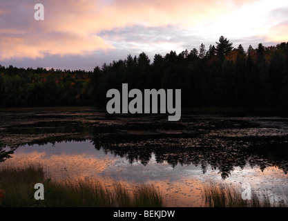 Sonnenuntergang über Biber Teich im Algonquin Provincial Park, Ontario, Kanada. Stockfoto