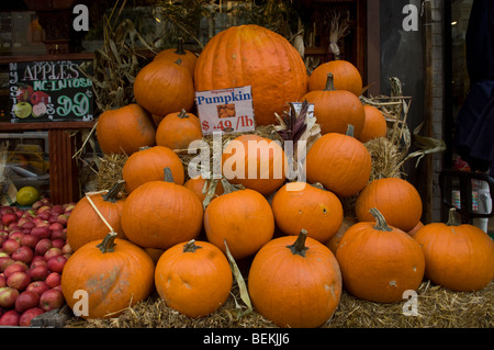 Kürbisse auf Verkauf außerhalb ein Lebensmittelgeschäft am Donnerstag, 8. Oktober 2009 in New York. (© Frances M. Roberts) Stockfoto