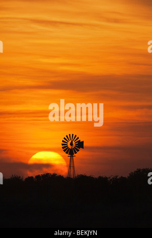 Windmühle bei Sonnenuntergang, Sinton, Fronleichnam, Coastal Bend, Texas, USA Stockfoto