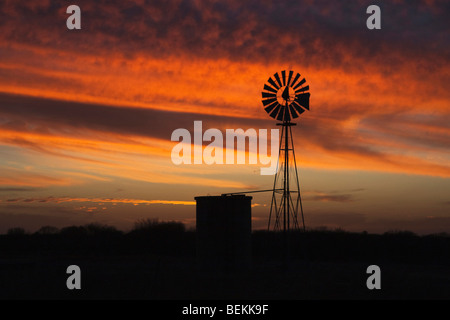 Windmühle bei Sonnenuntergang, Sinton, Fronleichnam, Coastal Bend, Texas, USA Stockfoto