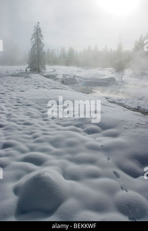 Tierspuren im Schnee und Nebel im Yellowstone National Park im Winter. Stockfoto