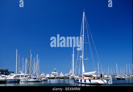 Segelyacht im Yachthafen von Viareggio, Toskana, Italien Stockfoto