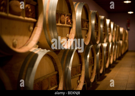 Costa Dorada Calcot Zwiebel Spanien Calcotada Spanisch Stockfoto