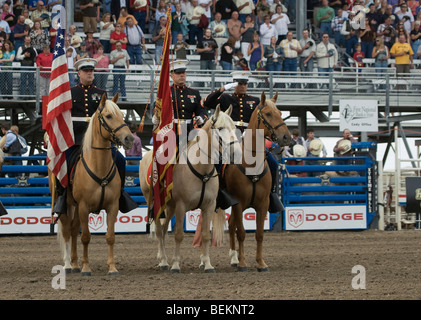 Cody Extreme Bull Wyoming USA Marine Corps Pferd Stockfoto