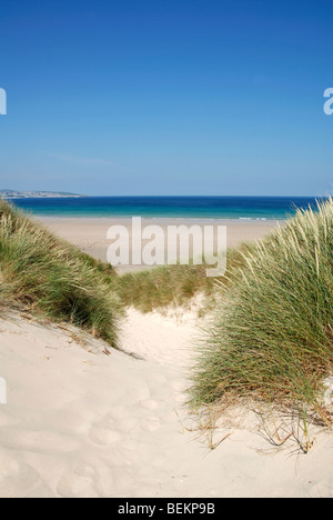 die Dünen und Strand von Upton Towans in der Nähe von Hayle in Cornwall, Großbritannien Stockfoto