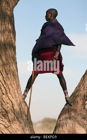 Masai Mann, Amboseli Nationalpark, Kenia, Ostafrika. Stockfoto