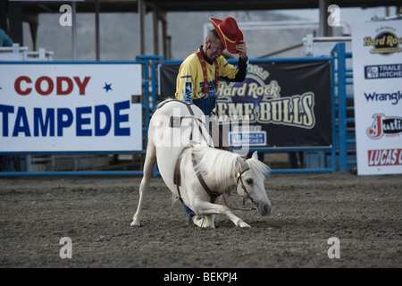 Cody Extreme Bull Wyoming USA Rodeo-Pferd Stockfoto