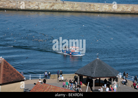 Angelboot/Fischerboot in The Harbour Whitby North Yorkshire England Stockfoto