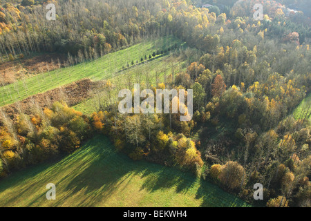 Landwirtschaftliche Fläche mit Feldern, Wiesen und Wäldern aus der Luft im Herbst, Belgien Stockfoto