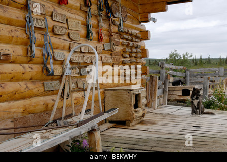 Sled Dog Kennel, Alaska. Stockfoto