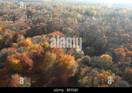 Mischwald mit Eichen (Quercus Robur) Buche (Fagus Sylvatica) und Birken (Betula SP.) mit Kiefernwald im Herbst aus der Luft, Stockfoto