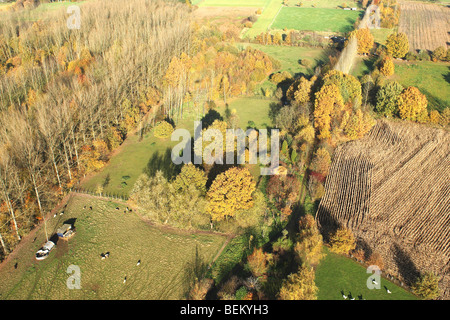 Mischwald mit Birken (Betula SP.), Eiche (Quercus Robur) Buche (Fagus Sylvatica), Felder und Wiesen im Herbst aus der Stockfoto