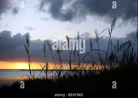 Sonnenuntergang an der Bucht im Currituck Club in Corolla, North Carolina. Stockfoto