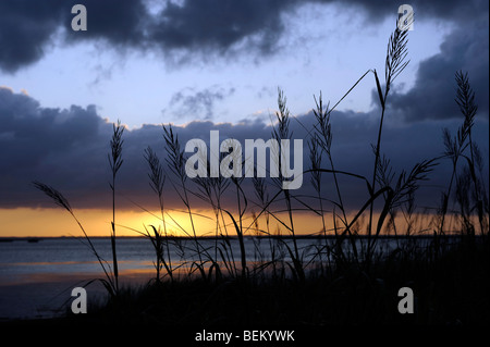 Sonnenuntergang an der Bucht im Currituck Club in Corolla, North Carolina. Stockfoto