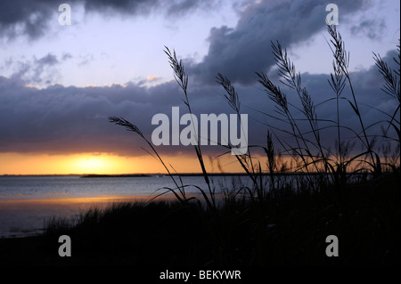 Sonnenuntergang an der Bucht im Currituck Club in Corolla, North Carolina. Stockfoto