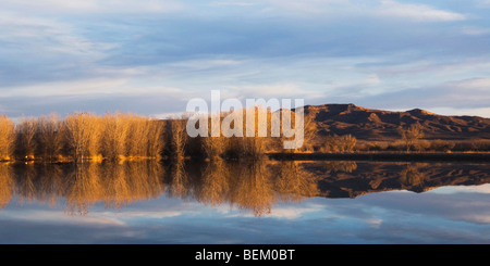 Feuchtgebiet, Bosque del Apache National Wildlife Refuge, Socorro, New Mexico, USA Stockfoto