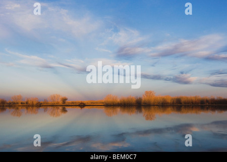 Feuchtgebiet, Bosque del Apache National Wildlife Refuge, Socorro, New Mexico, USA Stockfoto