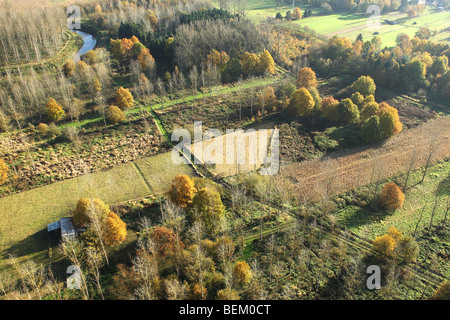 Eiche (Quercus Robur) Buche (Fagus Sylvatica) und Birken (Betula SP.) mit Wald, Felder und Wiesen entlang der Demer in Stockfoto