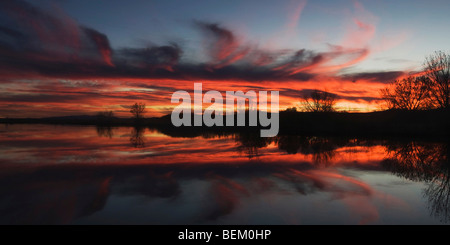 Sonnenuntergang über Feuchtgebiete, Bosque del Apache National Wildlife Refuge, Socorro, New Mexico, USA Stockfoto