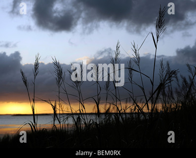 Sonnenuntergang an der Bucht im Currituck Club in Corolla, North Carolina. Stockfoto