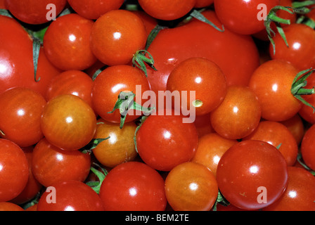 Rote Cherry-Tomaten Stockfoto