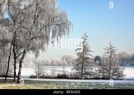 Zugefrorenen Teich mit Eis in Parklandschaft mit Birken in Raureif bedeckt / Rauhreif, provinziellen Domain Wachtebeke Stockfoto
